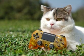 A cat sittting with a video game console's remote